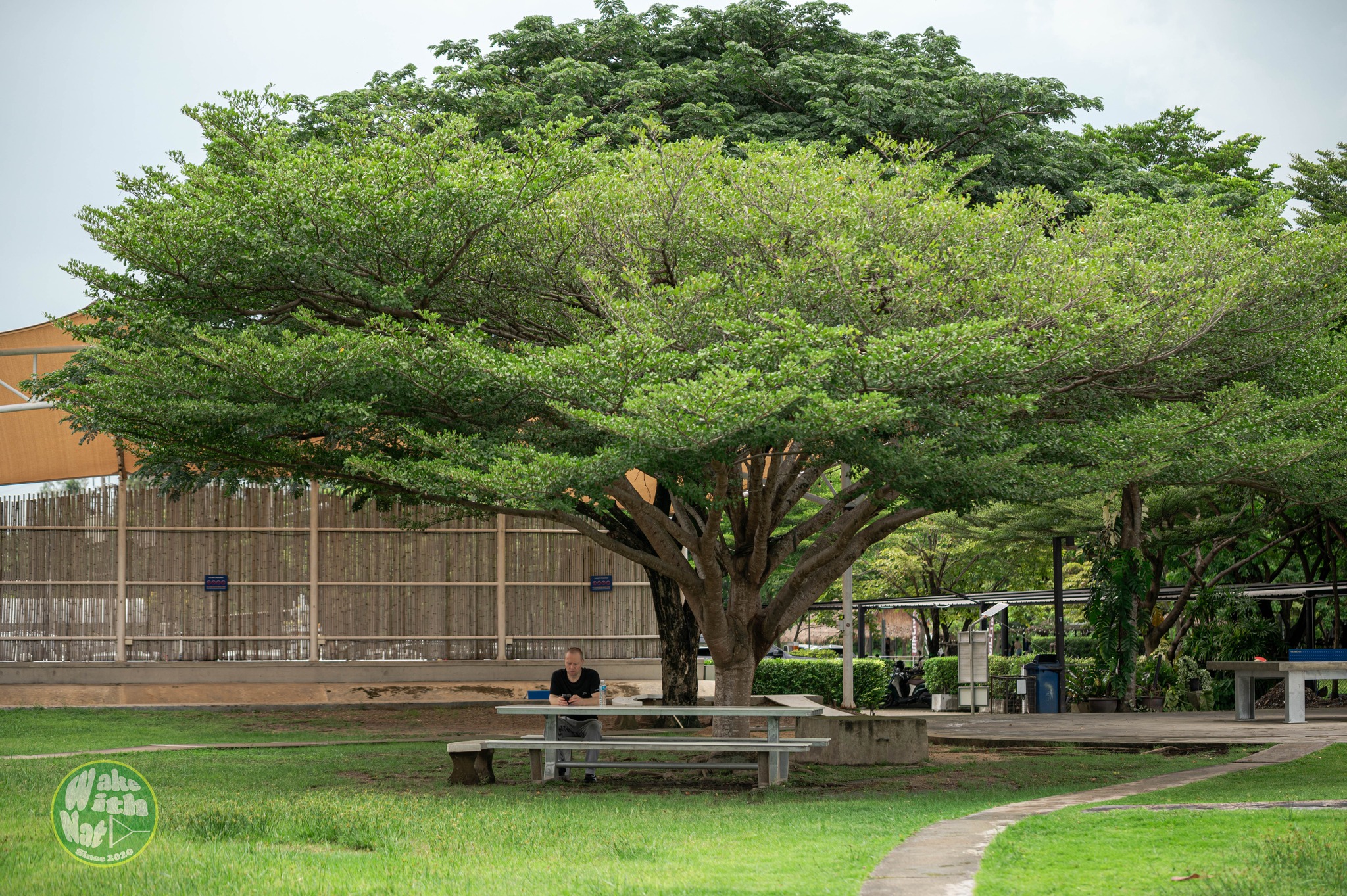 Wakeboarder carving hard turns on the main cable at Thai Wake Park
